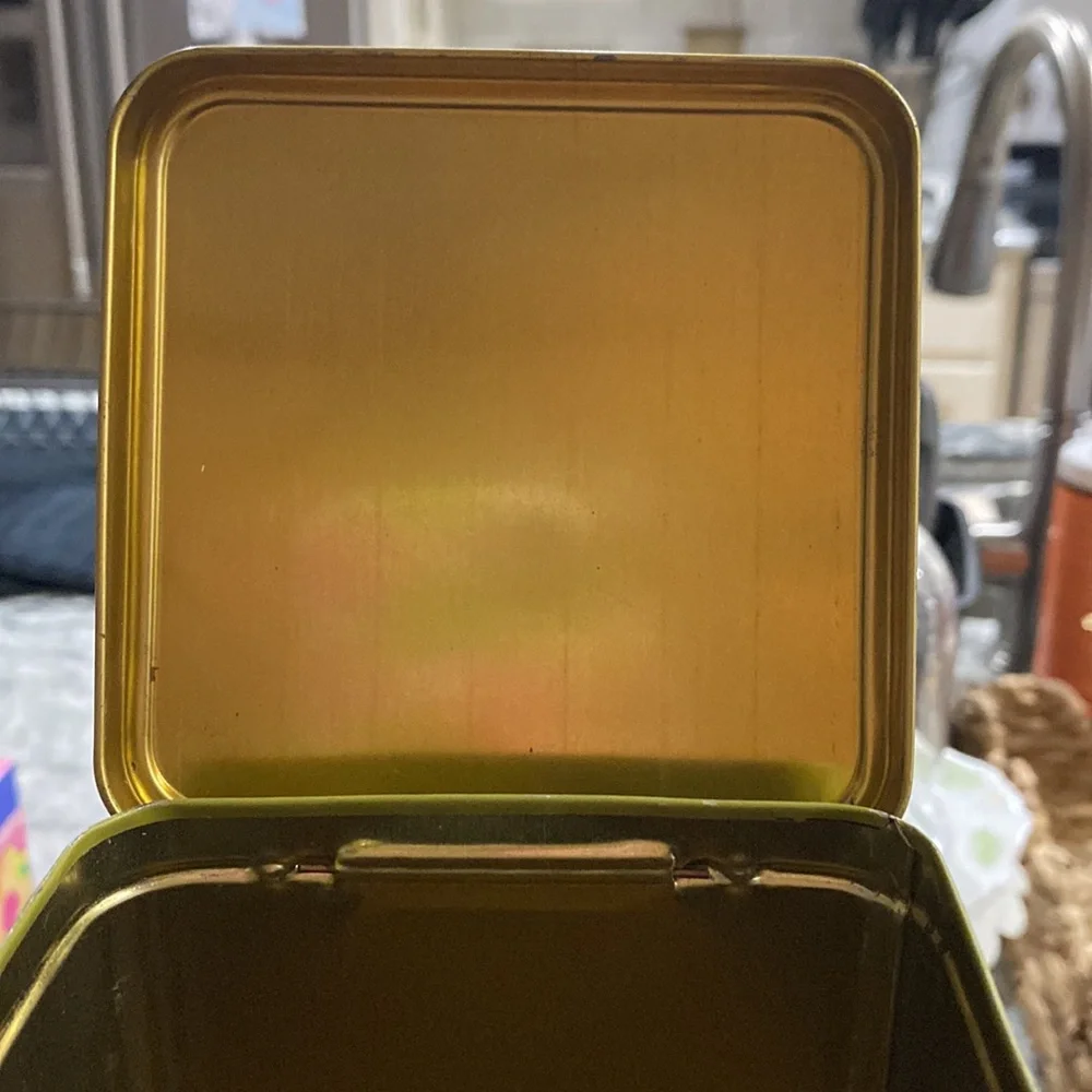 Vintage Late 70’s-Early 1980’s Green Casa Via Variccio Decorative Pasta Tin!